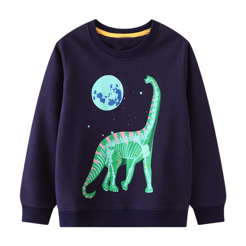 Dino Lit - Glow In The Dark Dinosaur Crew Neck Sweater- Boys Dinosaur Jumper Dino Lit - Glow In The Dark Dinosaur Crew Neck Sweater- Boys Dinosaur Jumper.