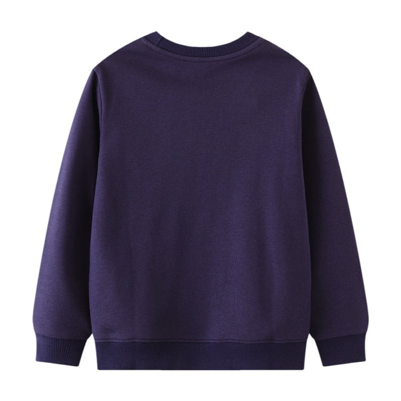 Boys purple sweater best sale