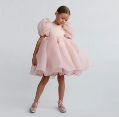 Girls Puff Sleeve Princess Dress.