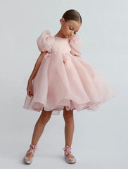 Girls Puff Sleeve Princess Dress.