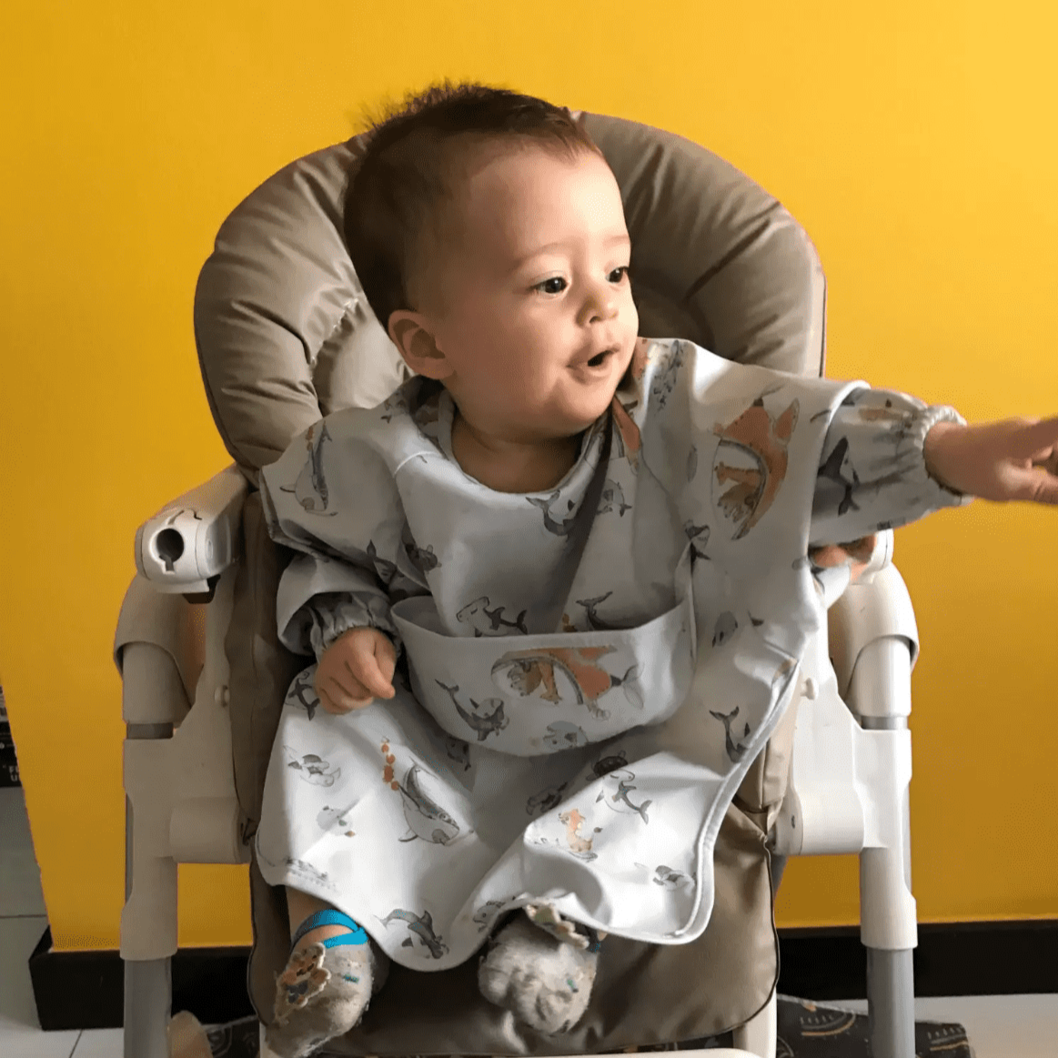 Smock bib deals australia