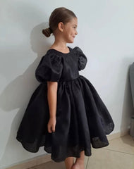 Girls Puff Sleeve Princess Dress.