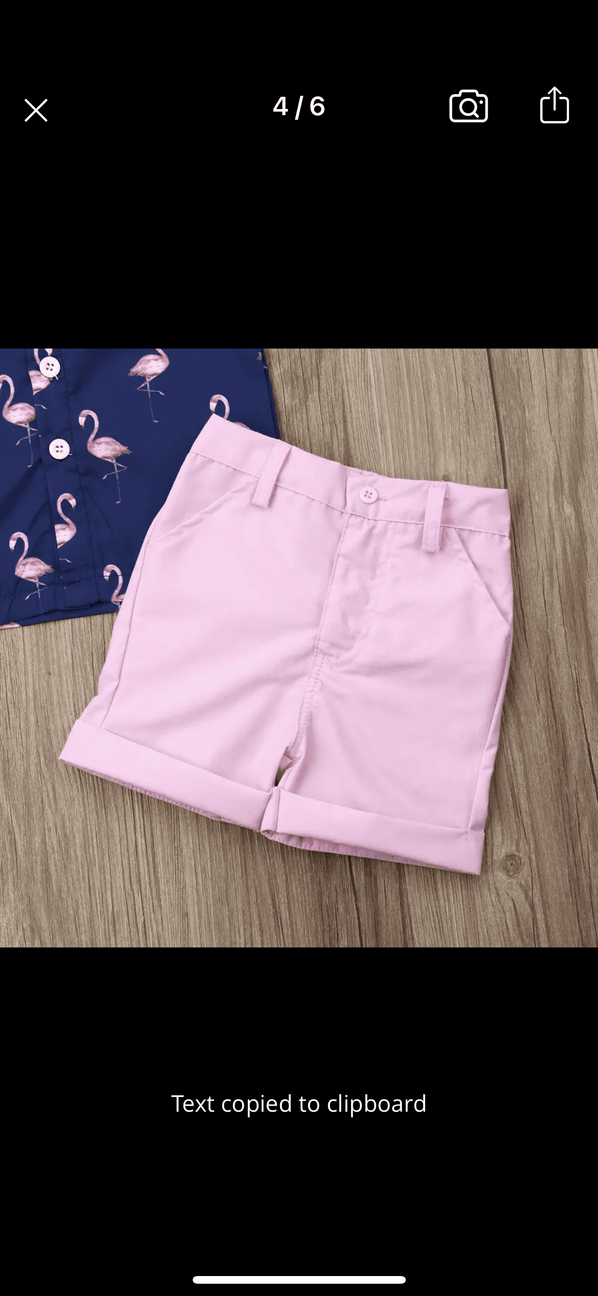 Boys Flamingo Button Shirt & Pink Shorts Set.